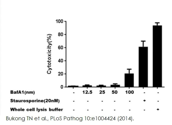 abcam LDH Assay Kit (Cytotoxicity)