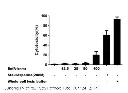 abcam LDH Assay Kit (Cytotoxicity)