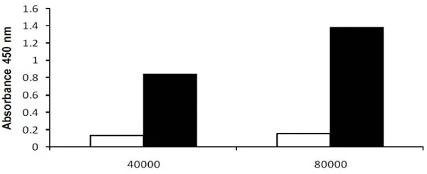 abcam LDH Assay Kit (Cytotoxicity)