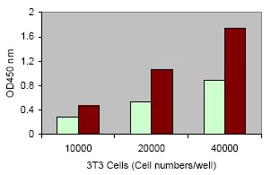 abcam LDH Assay Kit (Cytotoxicity)