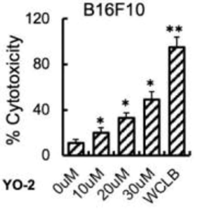 abcam LDH Assay Kit (Cytotoxicity)