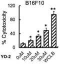 abcam LDH Assay Kit (Cytotoxicity)