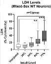 abcam LDH Assay Kit (Cytotoxicity)