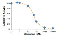 abcam Monoamine Oxidase A (MAO-A) Inhibitor Screening Kit (Fluorometric)