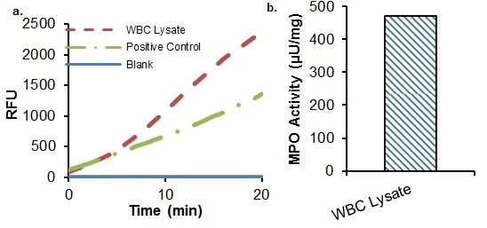 abcam Myeloperoxidase (MPO) Activity Assay Kit (Fluorometric)