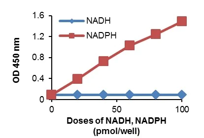 abcam NADP/NADPH Assay Kit