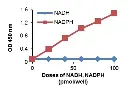 abcam NADP/NADPH Assay Kit
