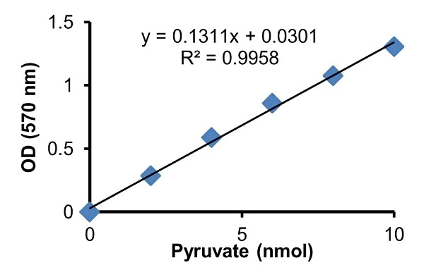 abcam PEPCK Assay Kit (Phosphoenolpyruvate Carboxykinase)