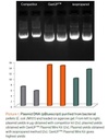 biotechrabbit GenUP™ PCR Cleanup Kit