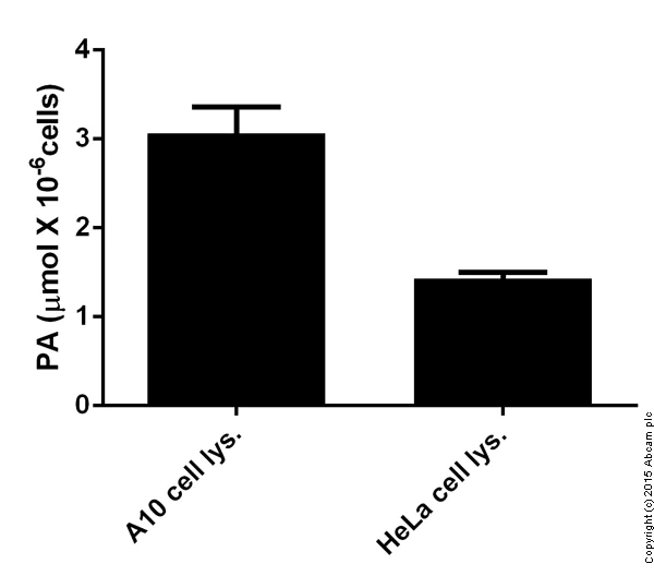 abcam Phenylalanine Assay Kit