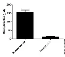 abcam Phenylalanine Assay Kit