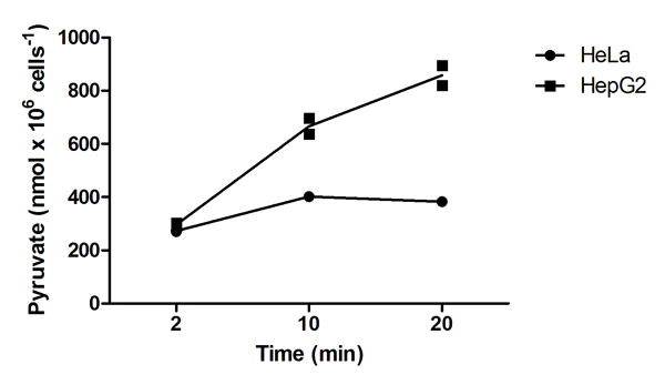 abcam Pyruvate Kinase Assay Kit