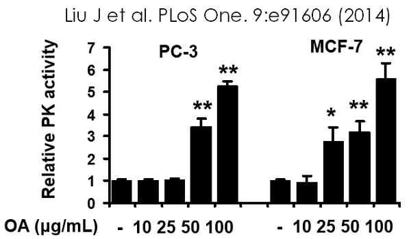 abcam Pyruvate Kinase Assay Kit