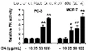abcam Pyruvate Kinase Assay Kit