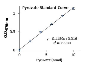 abcam Pyruvate Kinase Assay Kit