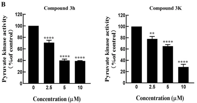 abcam Pyruvate Kinase Assay Kit