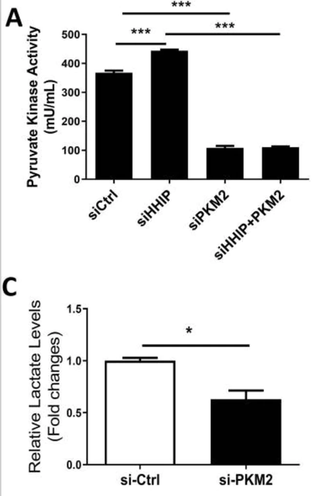 abcam Pyruvate Kinase Assay Kit