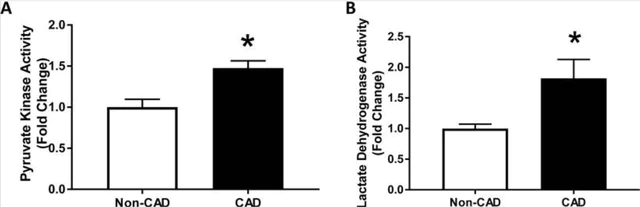 abcam Pyruvate Kinase Assay Kit