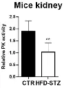 abcam Pyruvate Kinase Assay Kit