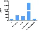 abcam Thrombin Inhibitor Screening Assay Kit (Fluorometric)