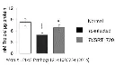 abcam Total Antioxidant Capacity Assay Kit