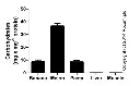 abcam Total Carbohydrate Assay Kit - Quantification