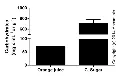 abcam Total Carbohydrate Assay Kit - Quantification