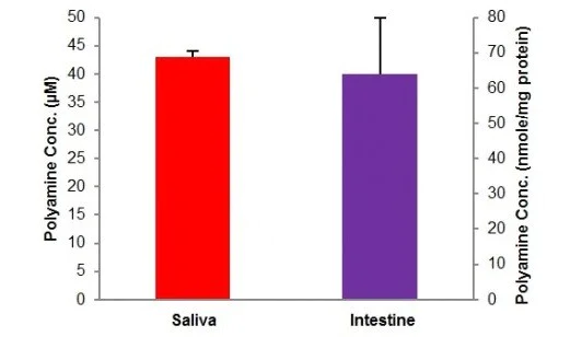abcam Total Polyamine Assay Kit