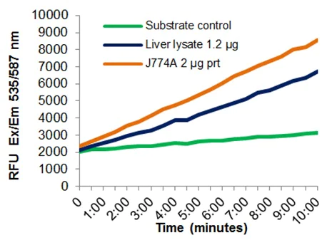 abcam Transketolase Activity Assay Kit (Fluorometric)