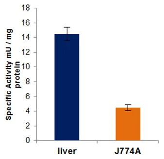 abcam Transketolase Activity Assay Kit (Fluorometric)