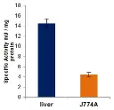 abcam Transketolase Activity Assay Kit (Fluorometric)