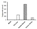 abcam Triglyceride Assay Kit (Fluorometric, Reducing Samples)