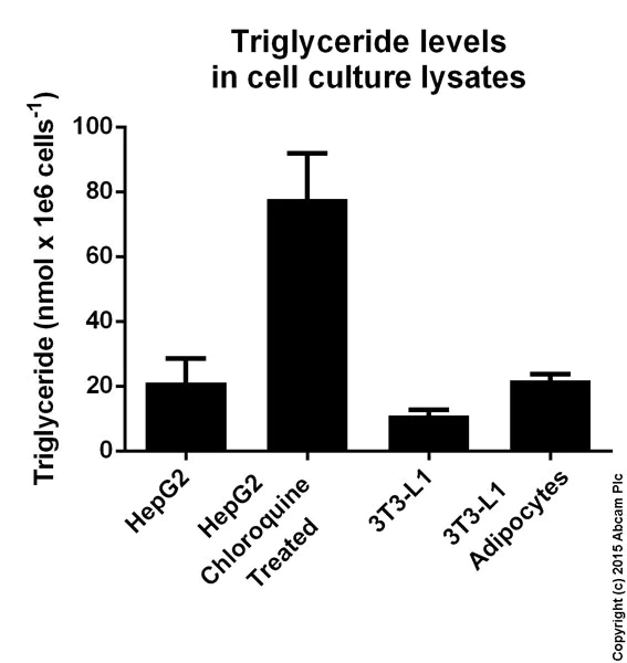 abcam Triglyceride Assay Kit - Quantification