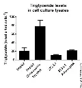 abcam Triglyceride Assay Kit - Quantification