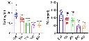 abcam Triglyceride Assay Kit - Quantification