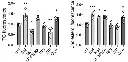 abcam Triglyceride Assay Kit - Quantification