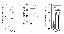 abcam Urea Assay Kit