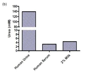 abcam Urea Assay Kit II