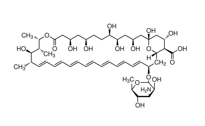 Merck Antibiotic Antimycotic Solution (100×), Stabilized (สำเนา)