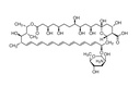 Merck Antibiotic Antimycotic Solution (100×), Stabilized (สำเนา)