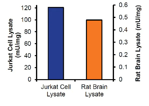 abcam Adenosine Deaminase (ADA) Activity Assay Kit (Fluorometric)