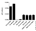 abcam Alanine Transaminase Activity Assay Kit (Colorimetric/Fluorometric)