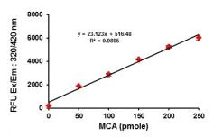 abcam Angiotensin II Converting Enzyme (ACE2) Activity Assay Kit (Fluorometric)