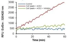 abcam Angiotensin II Converting Enzyme (ACE2) Activity Assay Kit (Fluorometric)