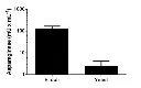 abcam Asparaginase Activity Assay Kit