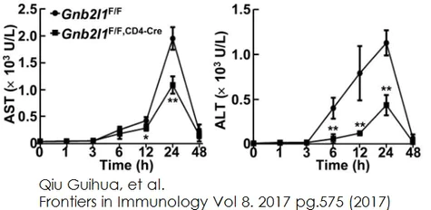 abcam Aspartate Aminotransferase Activity Assay Kit