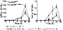abcam Aspartate Aminotransferase Activity Assay Kit