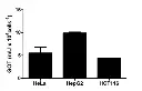 abcam Aspartate Aminotransferase Activity Assay Kit