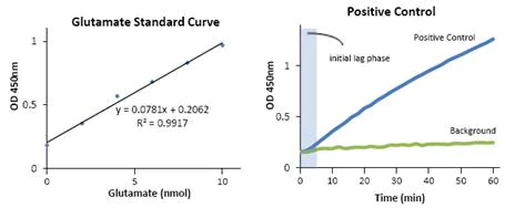 abcam Aspartate Aminotransferase Activity Assay Kit