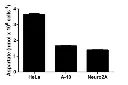 abcam Aspartate Assay Kit